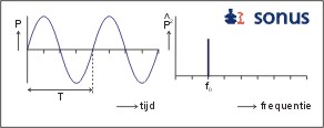 sinus en bijbehorens spectrum